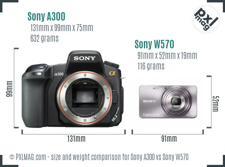 Sony A300 vs Sony W570 size comparison