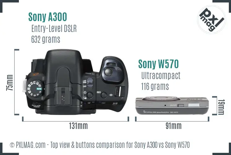 Sony A300 vs Sony W570 top view buttons comparison