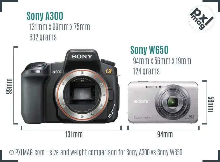 Sony A300 vs Sony W650 size comparison