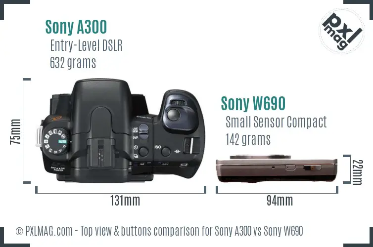 Sony A300 vs Sony W690 top view buttons comparison