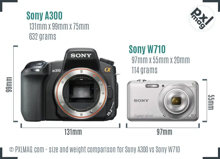 Sony A300 vs Sony W710 size comparison