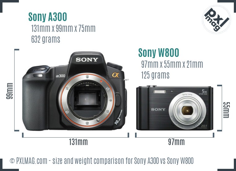 Sony A300 vs Sony W800 size comparison