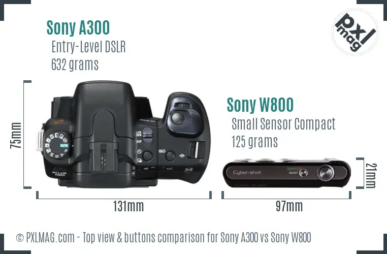 Sony A300 vs Sony W800 top view buttons comparison