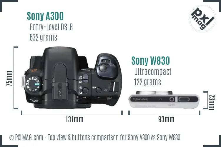 Sony A300 vs Sony W830 top view buttons comparison