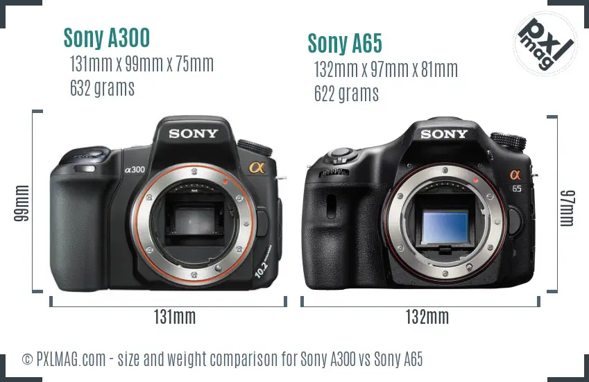 Sony A300 vs Sony A65 size comparison