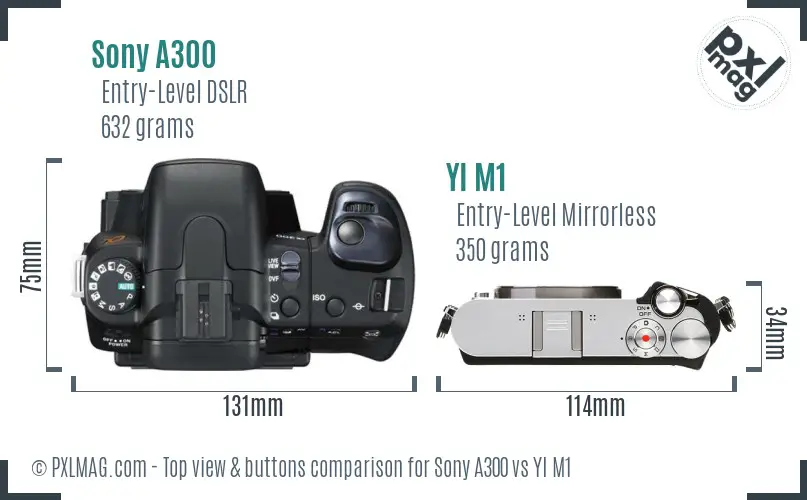 Sony A300 vs YI M1 top view buttons comparison