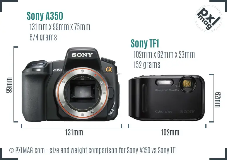Sony A350 vs Sony TF1 size comparison