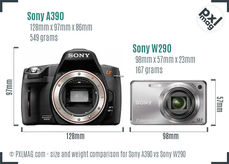 Sony A390 vs Sony W290 size comparison