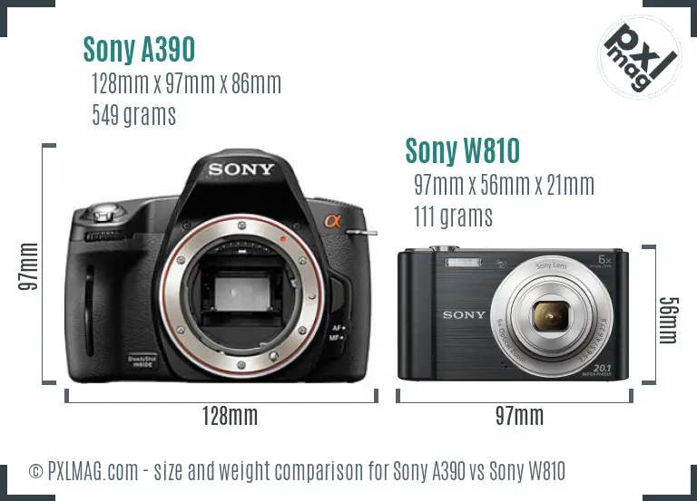 Sony A390 vs Sony W810 size comparison