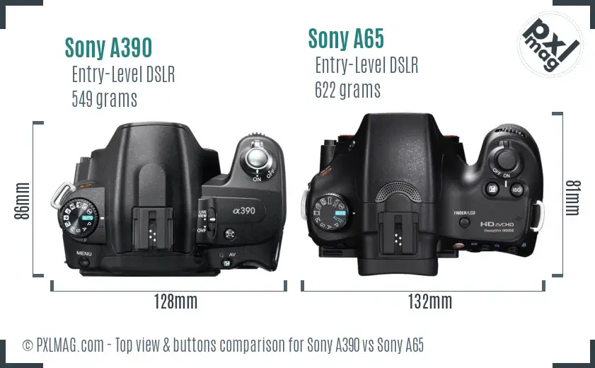 Sony A390 vs Sony A65 top view buttons comparison
