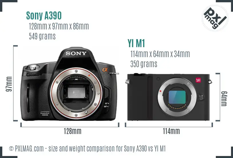 Sony A390 vs YI M1 size comparison