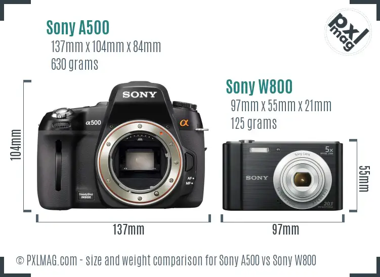 Sony A500 vs Sony W800 size comparison