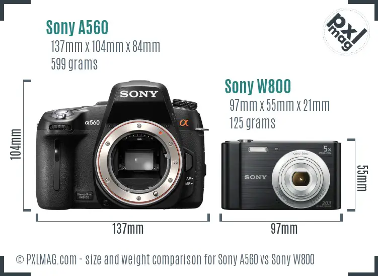 Sony A560 vs Sony W800 size comparison