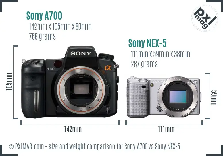 Sony A700 vs Sony NEX-5 size comparison