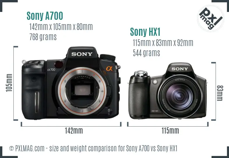 Sony A700 vs Sony HX1 size comparison