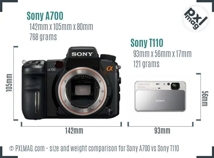Sony A700 vs Sony T110 size comparison