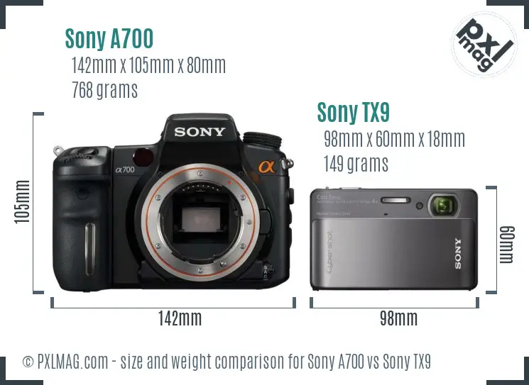 Sony A700 vs Sony TX9 size comparison