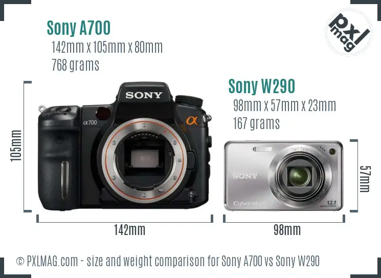 Sony A700 vs Sony W290 size comparison