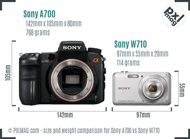 Sony A700 vs Sony W710 size comparison