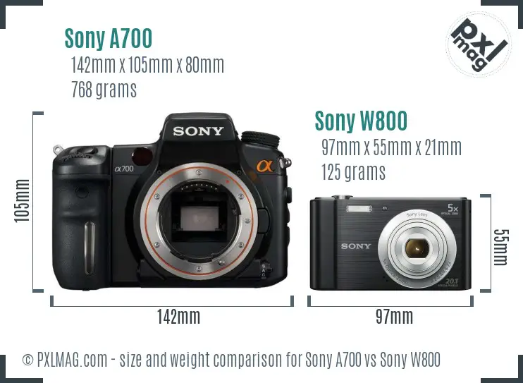 Sony A700 vs Sony W800 size comparison