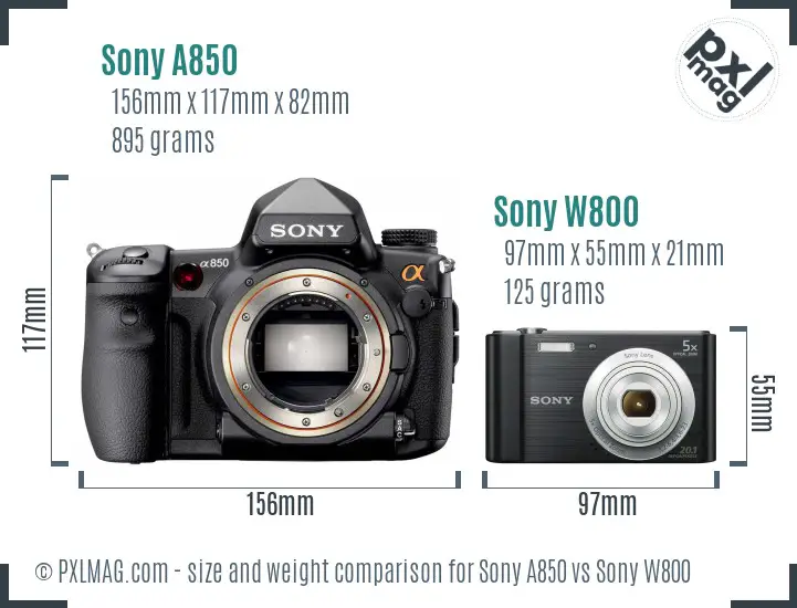 Sony A850 vs Sony W800 size comparison