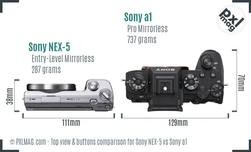 Sony NEX-5 vs Sony a1 top view buttons comparison