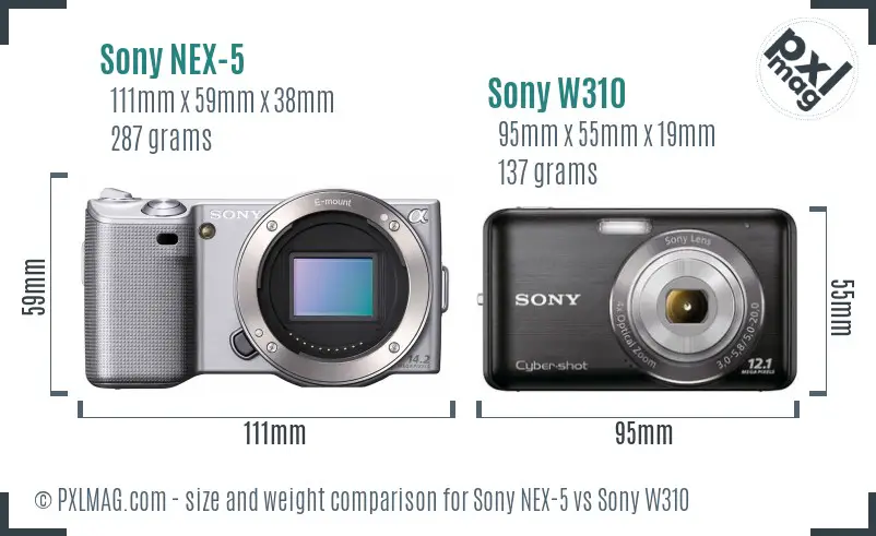 Sony NEX-5 vs Sony W310 size comparison