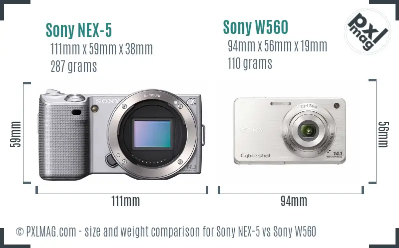 Sony NEX-5 vs Sony W560 size comparison