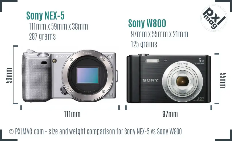 Sony NEX-5 vs Sony W800 size comparison