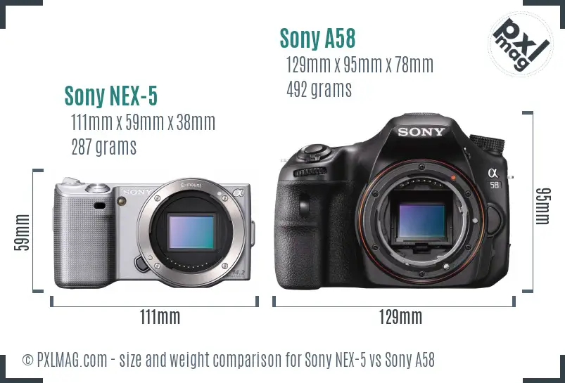 Sony NEX-5 vs Sony A58 size comparison