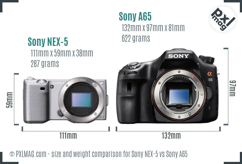 Sony NEX-5 vs Sony A65 size comparison