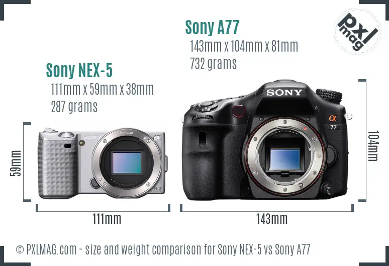 Sony NEX-5 vs Sony A77 size comparison