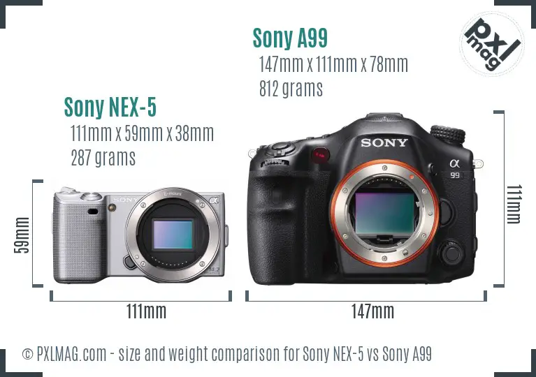 Sony NEX-5 vs Sony A99 size comparison