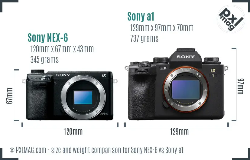 Sony NEX-6 vs Sony a1 size comparison