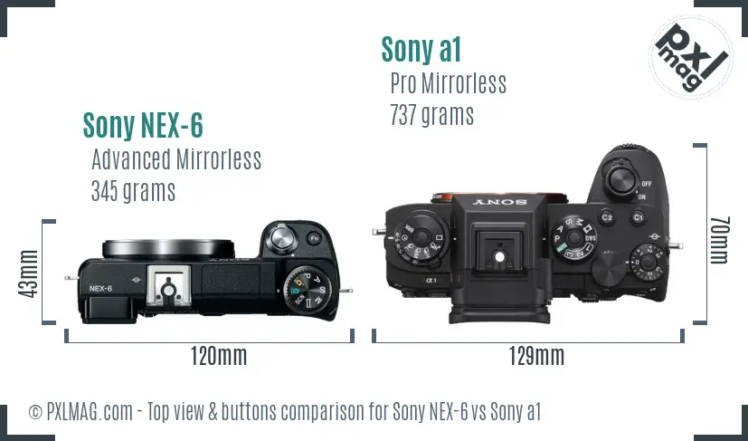Sony NEX-6 vs Sony a1 top view buttons comparison