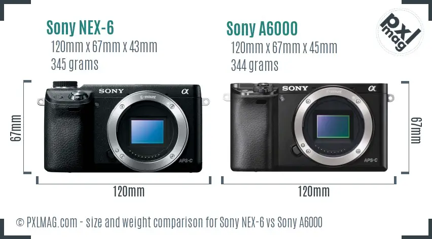 Sony NEX-6 vs Sony A6000 size comparison