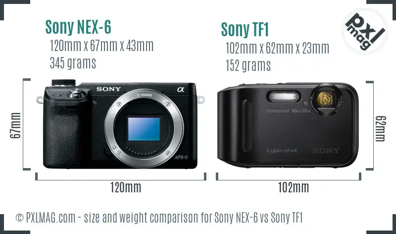 Sony NEX-6 vs Sony TF1 size comparison
