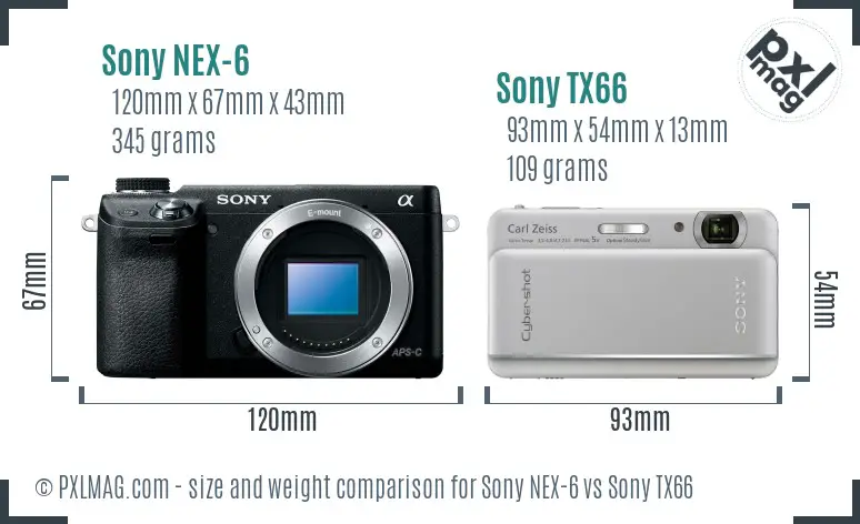 Sony NEX-6 vs Sony TX66 size comparison