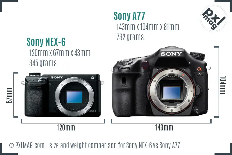 Sony NEX-6 vs Sony A77 size comparison