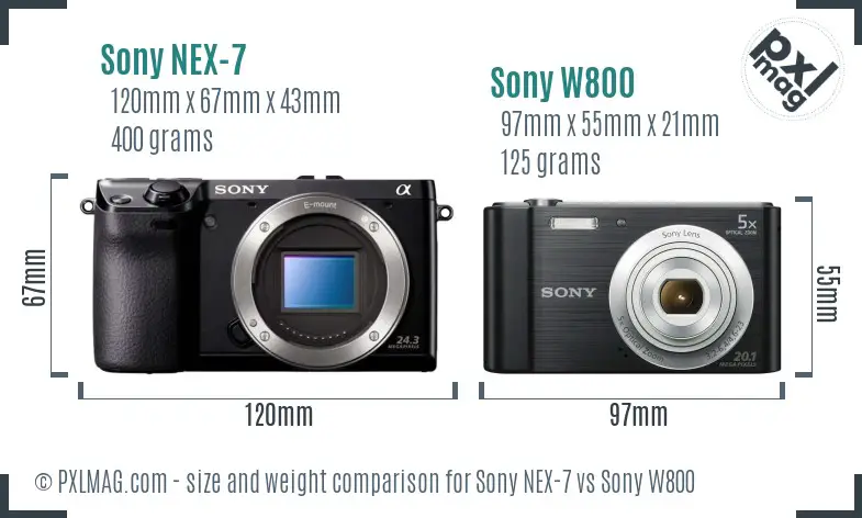 Sony NEX-7 vs Sony W800 size comparison