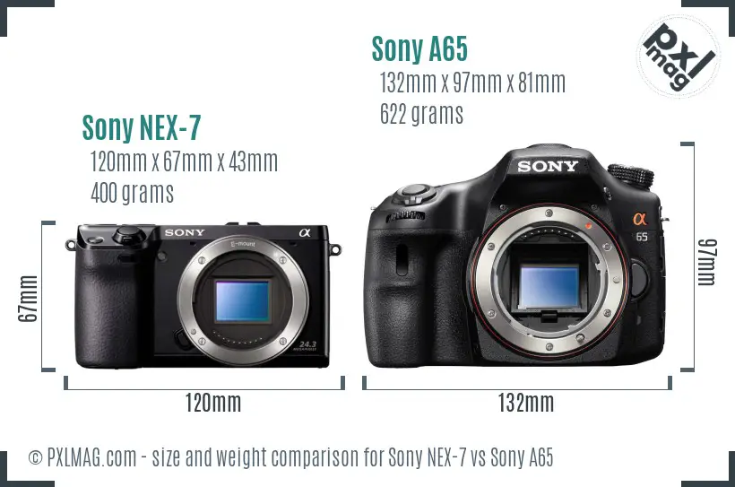 Sony NEX-7 vs Sony A65 size comparison
