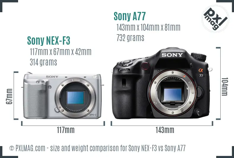 Sony NEX-F3 vs Sony A77 size comparison