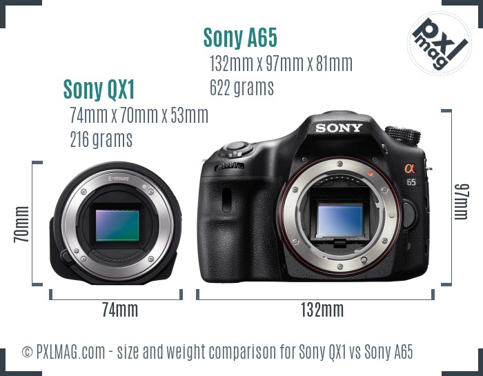 Sony QX1 vs Sony A65 size comparison