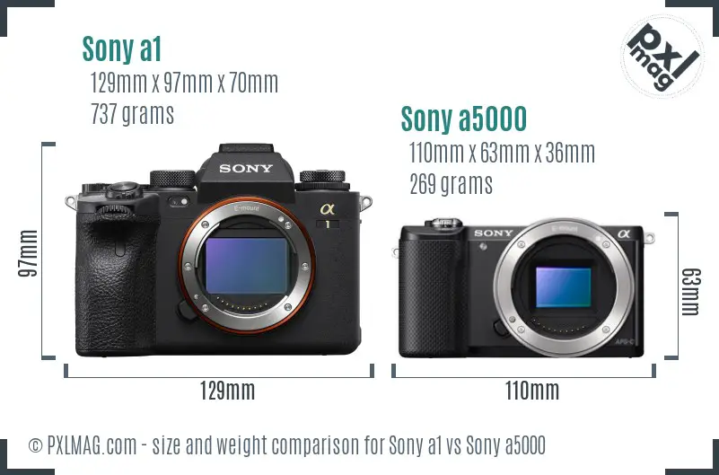 Sony a1 vs Sony a5000 size comparison