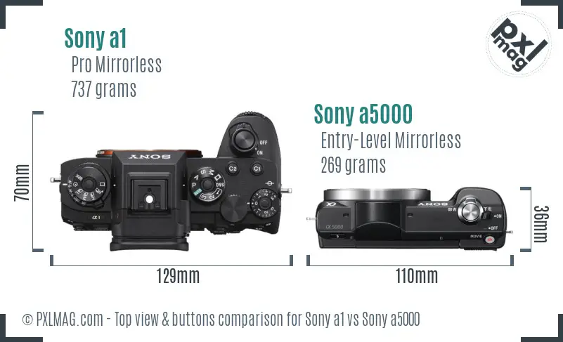 Sony a1 vs Sony a5000 top view buttons comparison