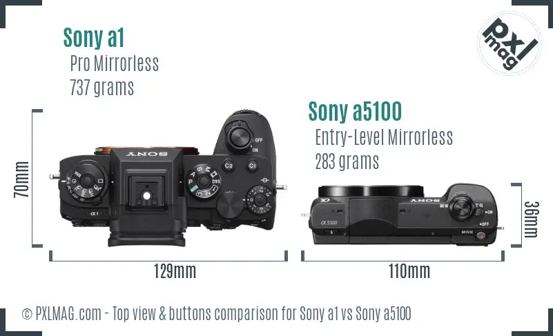 Sony a1 vs Sony a5100 top view buttons comparison