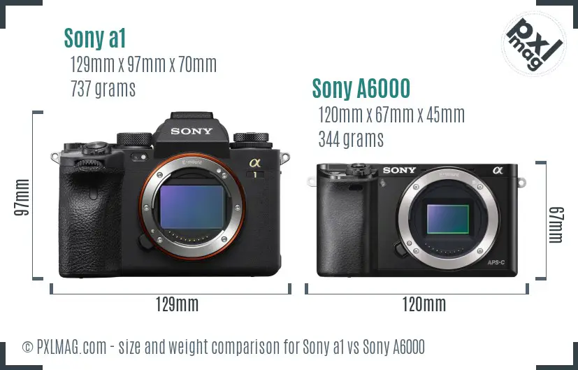 Sony a1 vs Sony A6000 size comparison