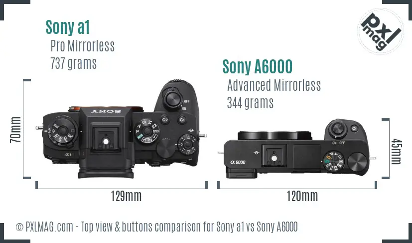 Sony a1 vs Sony A6000 top view buttons comparison
