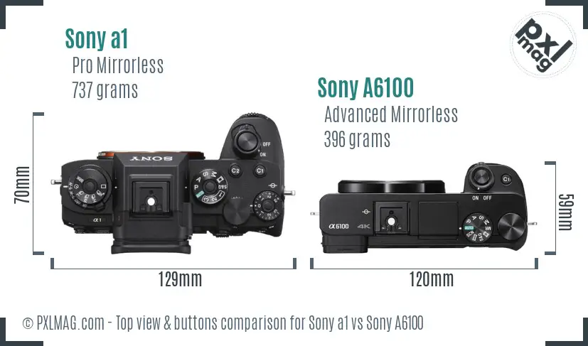 Sony a1 vs Sony A6100 top view buttons comparison