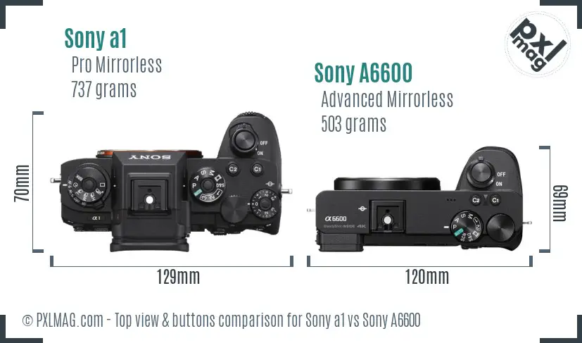 Sony a1 vs Sony A6600 top view buttons comparison